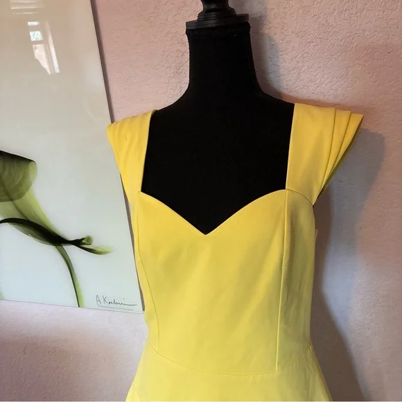 New Alice and Olivia dress size 10 - Picture 2 of 6